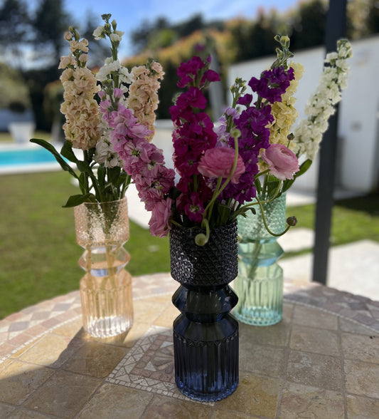 Benvenuto Aprile! Benvenuto Blog!