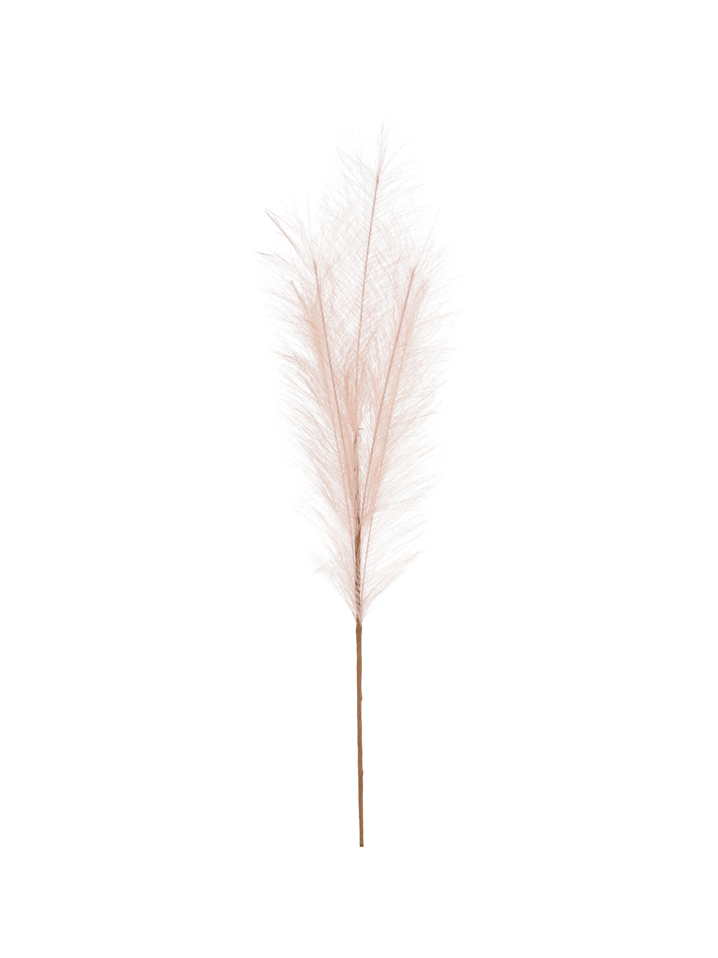 Ramo Piumino Rosa antico