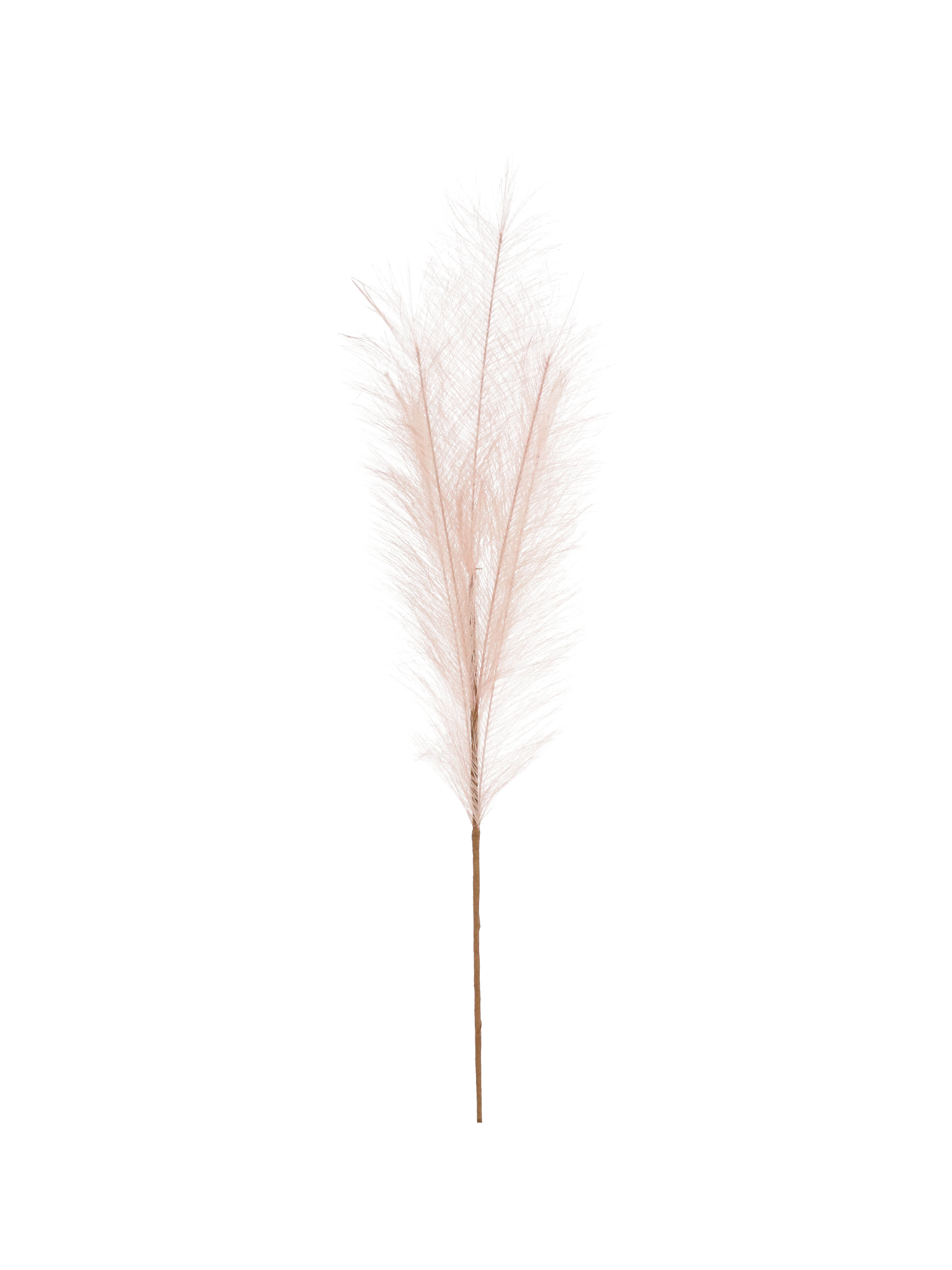 Ramo Piumino Rosa antico
