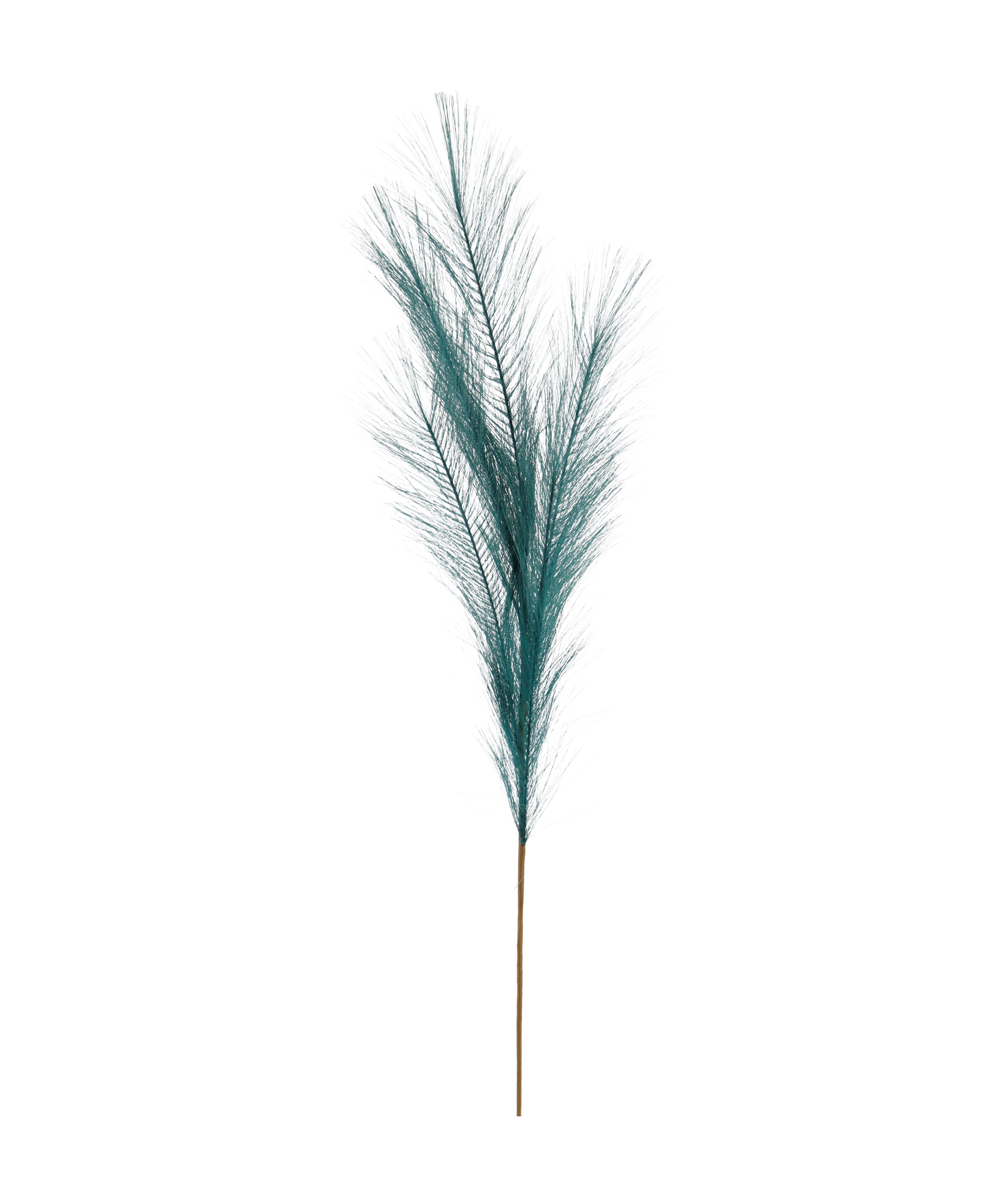 7150.png