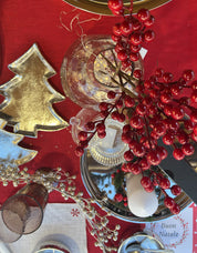 Ramo Bacche rosse