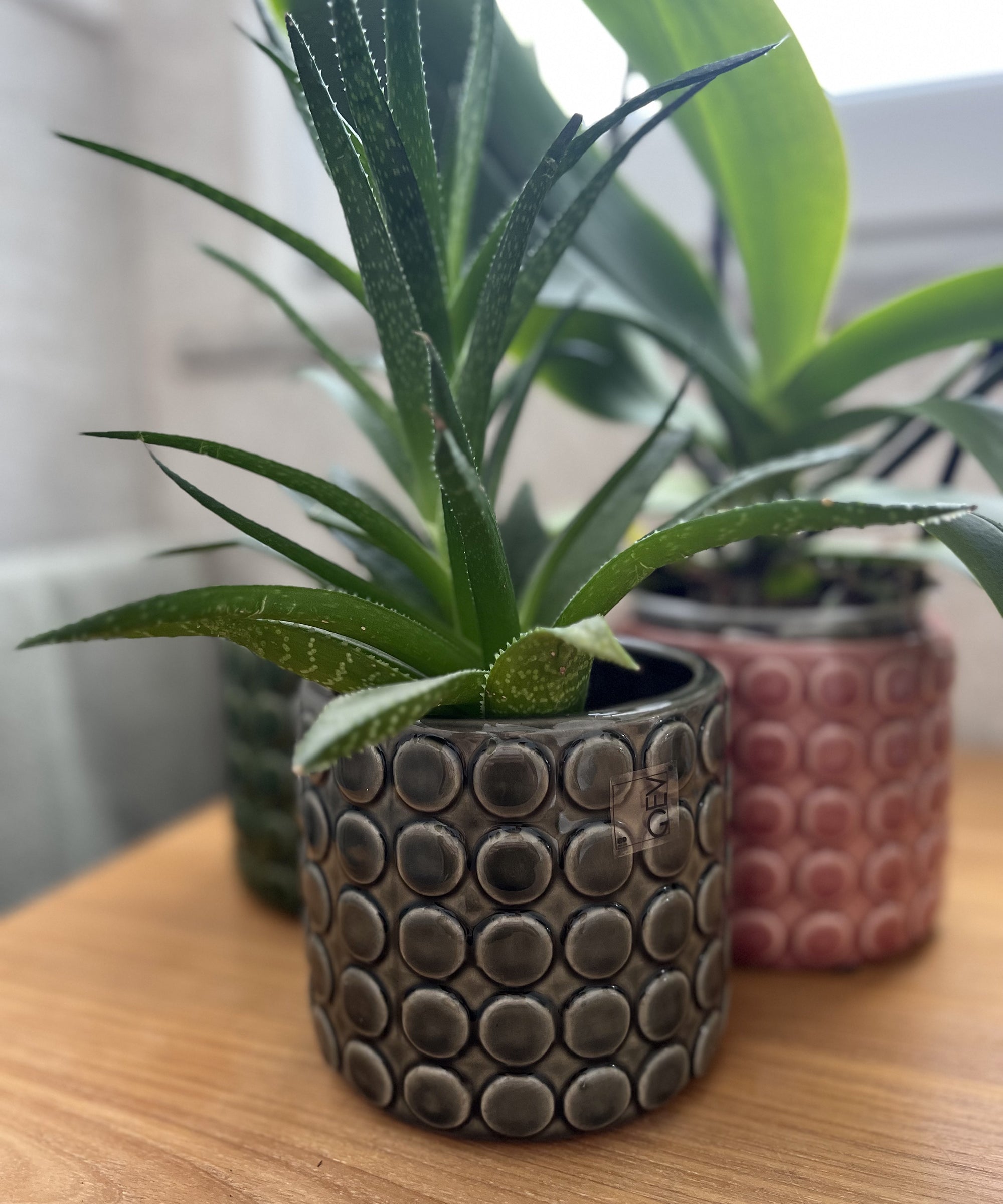 Portavaso bolle medio Grigio - A.Bi.Ci. Lab