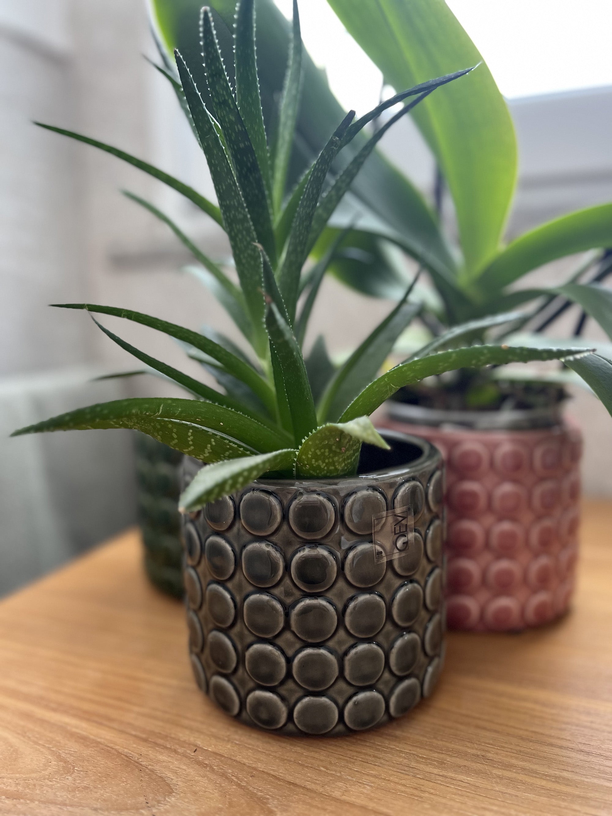 Portavaso bolle medio Grigio - A.Bi.Ci. Lab