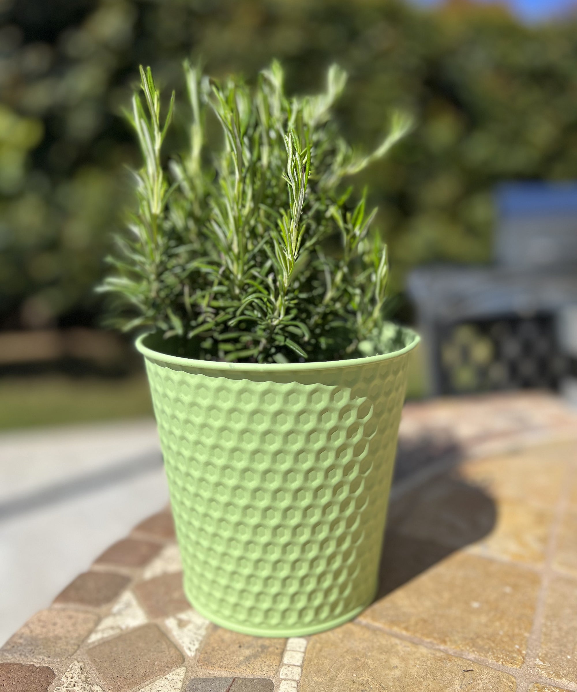 Vaso in ferro verde - A.Bi.Ci. Lab