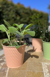 Vaso in ferro rosa - A.Bi.Ci. Lab